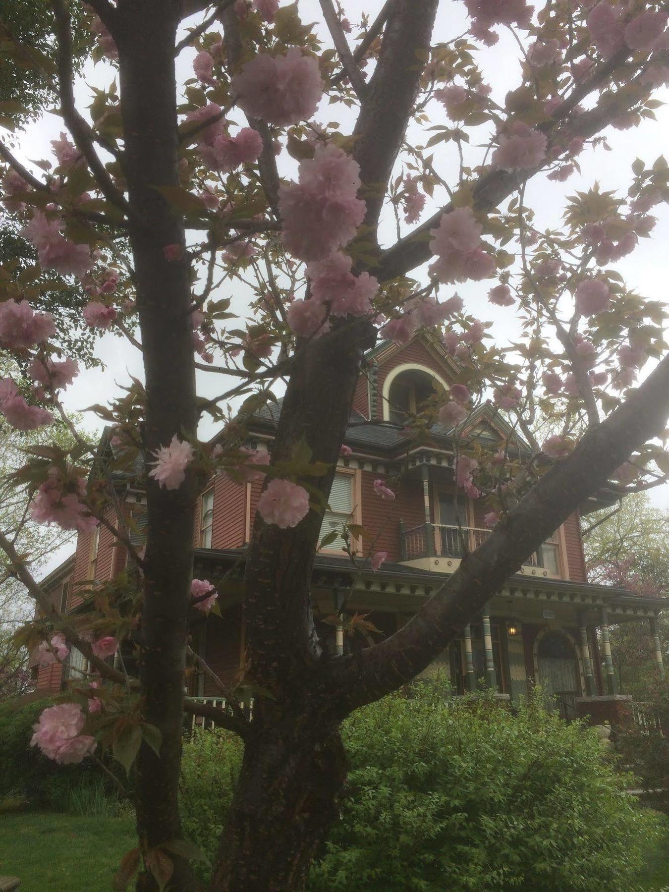 Grand Avenue Bed And Breakfast Картагена Екстериор снимка
